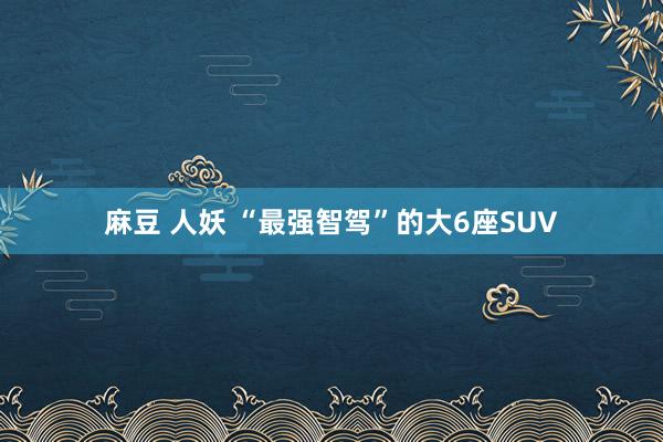 麻豆 人妖 “最强智驾”的大6座SUV