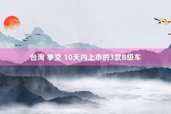 台灣 拳交 10天内上市的3款B级车