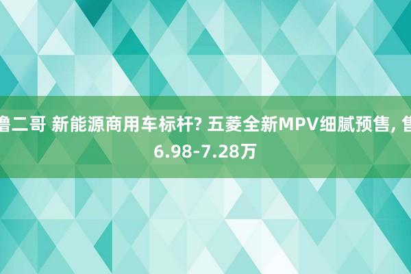 撸二哥 新能源商用车标杆? 五菱全新MPV细腻预售， 售6.98-7.28万