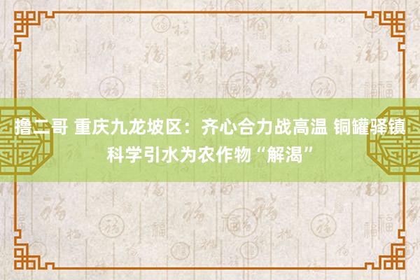 撸二哥 重庆九龙坡区：齐心合力战高温 铜罐驿镇科学引水为农作物“解渴”