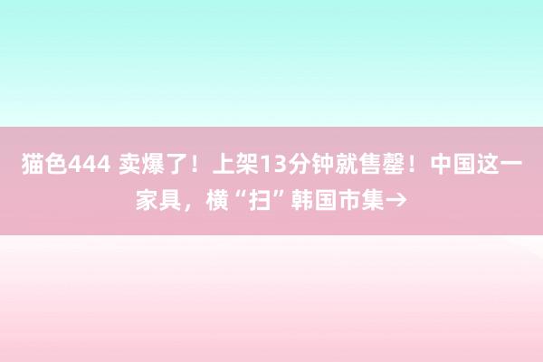 猫色444 卖爆了！上架13分钟就售罄！中国这一家具，横“扫”韩国市集→