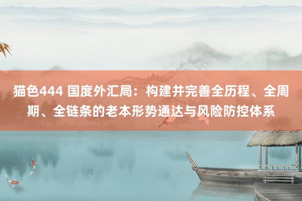 猫色444 国度外汇局：构建并完善全历程、全周期、全链条的老本形势通达与风险防控体系