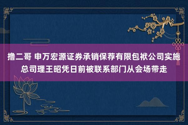 撸二哥 申万宏源证券承销保荐有限包袱公司实施总司理王昭凭日前被联系部门从会场带走