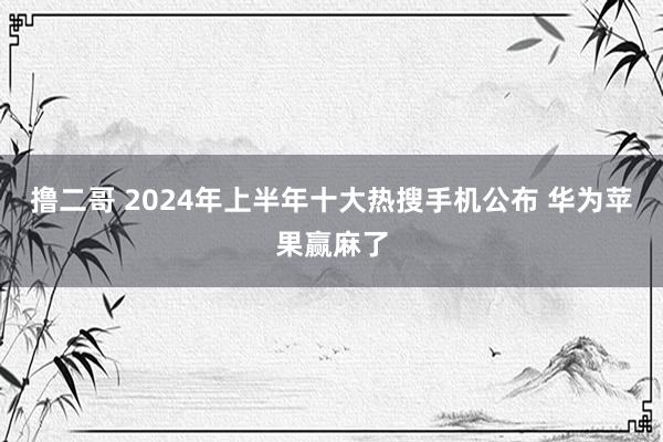 撸二哥 2024年上半年十大热搜手机公布 华为苹果赢麻了