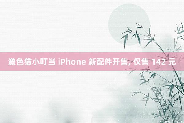 激色猫小叮当 iPhone 新配件开售， 仅售 142 元