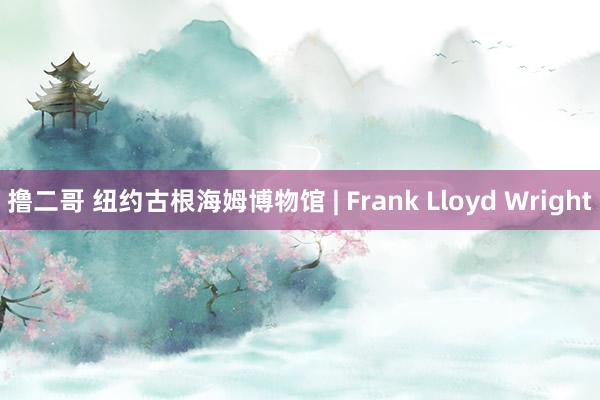 撸二哥 纽约古根海姆博物馆 | Frank Lloyd Wright