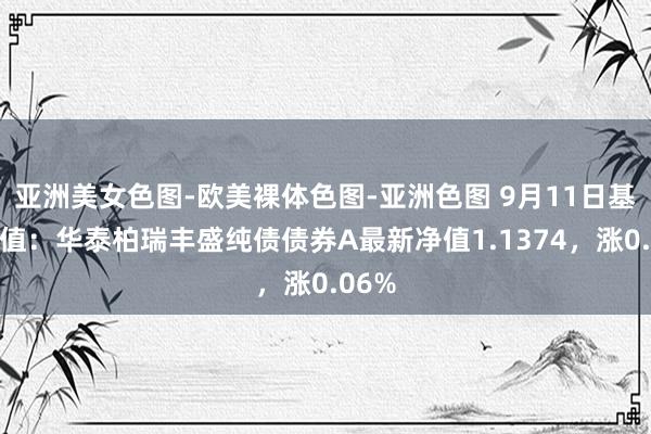 亚洲美女色图-欧美裸体色图-亚洲色图 9月11日基金净值：华泰柏瑞丰盛纯债债券A最新净值1.1374，涨0.06%