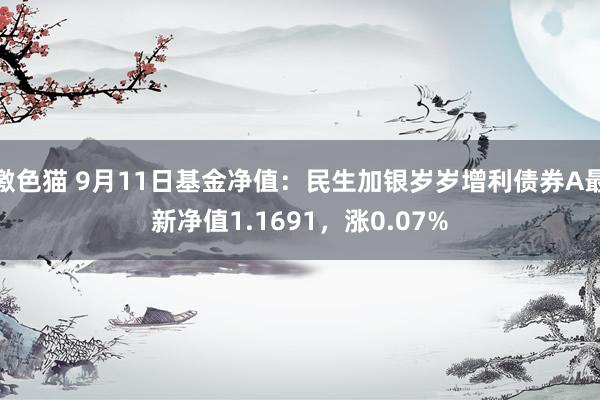 激色猫 9月11日基金净值：民生加银岁岁增利债券A最新净值1.1691，涨0.07%