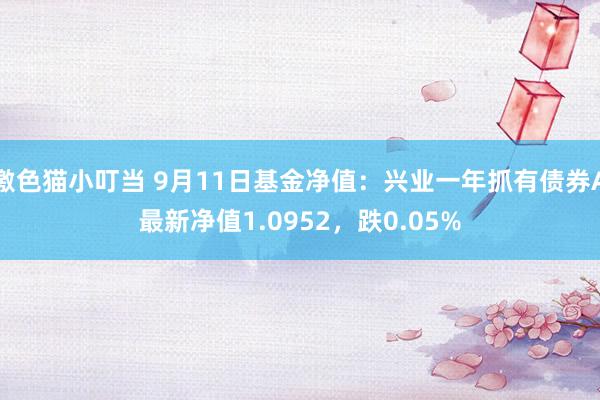 激色猫小叮当 9月11日基金净值：兴业一年抓有债券A最新净值1.0952，跌0.05%