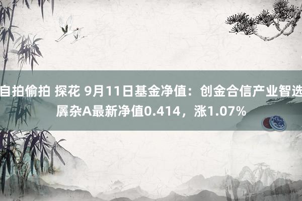 自拍偷拍 探花 9月11日基金净值：创金合信产业智选羼杂A最新净值0.414，涨1.07%