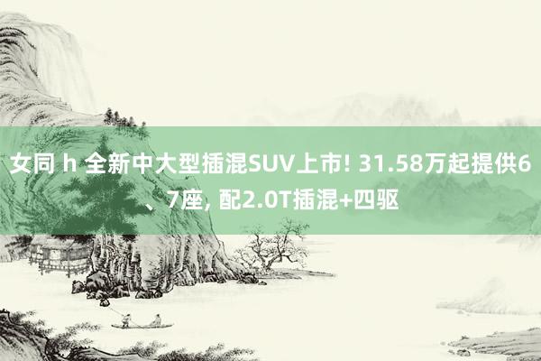 女同 h 全新中大型插混SUV上市! 31.58万起提供6、7座， 配2.0T插混+四驱