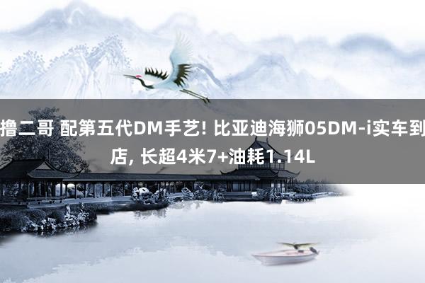 撸二哥 配第五代DM手艺! 比亚迪海狮05DM-i实车到店， 长超4米7+油耗1.14L