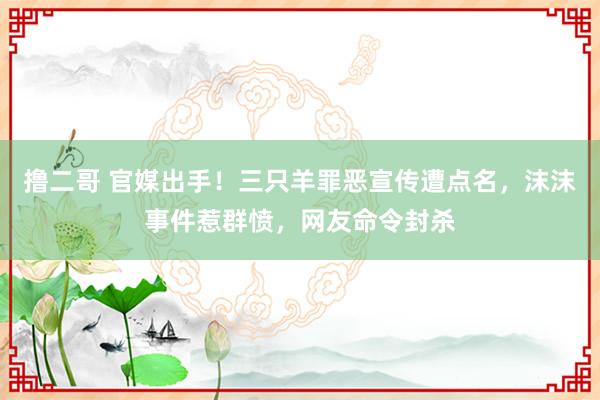 撸二哥 官媒出手！三只羊罪恶宣传遭点名，沫沫事件惹群愤，网友命令封杀