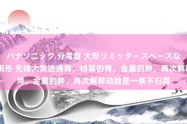 パナソニック 分電盤 大形リミッタースペースなし 露出・半埋込両用形 先锋大赏这通宵，杨幂的垮，金晨的肿，再次解释动脸是一条不归路