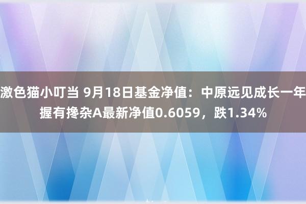 激色猫小叮当 9月18日基金净值：中原远见成长一年握有搀杂A最新净值0.6059，跌1.34%