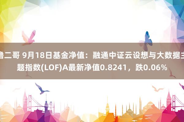 撸二哥 9月18日基金净值：融通中证云设想与大数据主题指数(LOF)A最新净值0.8241，跌0.06%