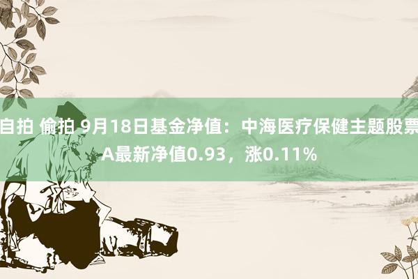 自拍 偷拍 9月18日基金净值：中海医疗保健主题股票A最新净值0.93，涨0.11%