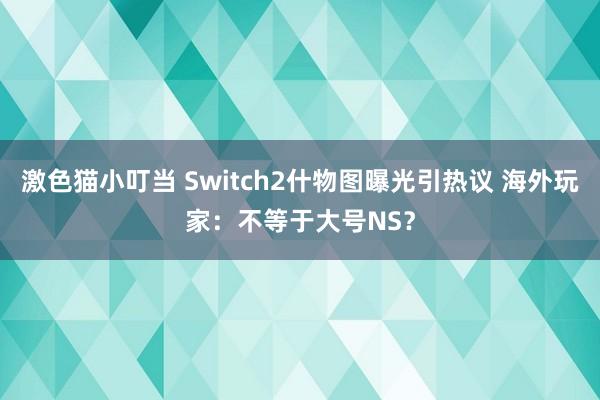 激色猫小叮当 Switch2什物图曝光引热议 海外玩家：不等于大号NS？