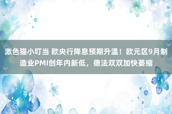 激色猫小叮当 欧央行降息预期升温！欧元区9月制造业PMI创年内新低，德法双双加快萎缩