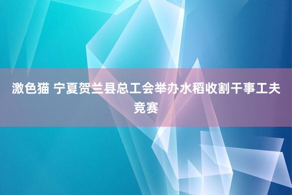 激色猫 宁夏贺兰县总工会举办水稻收割干事工夫竞赛