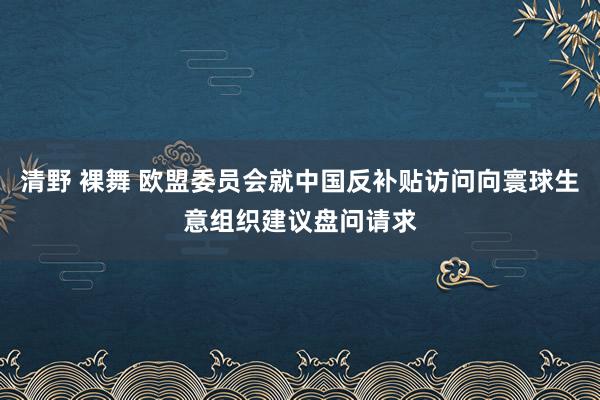 清野 裸舞 欧盟委员会就中国反补贴访问向寰球生意组织建议盘问请求