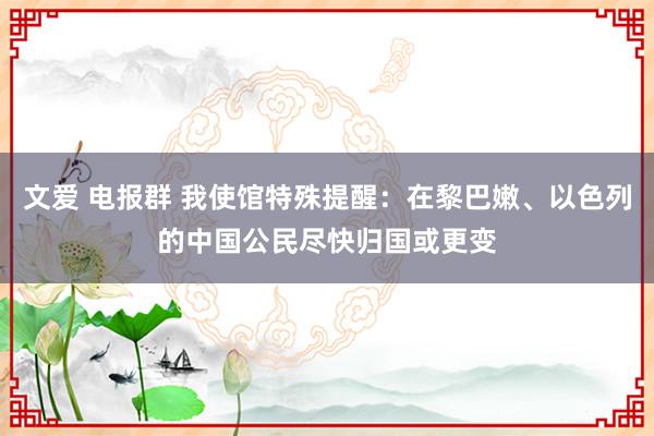 文爱 电报群 我使馆特殊提醒：在黎巴嫩、以色列的中国公民尽快归国或更变