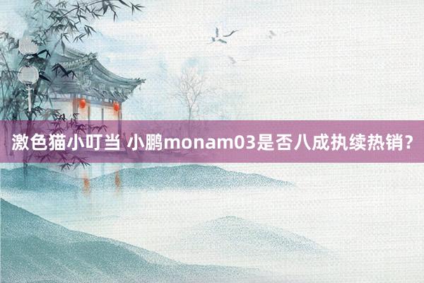 激色猫小叮当 小鹏monam03是否八成执续热销？