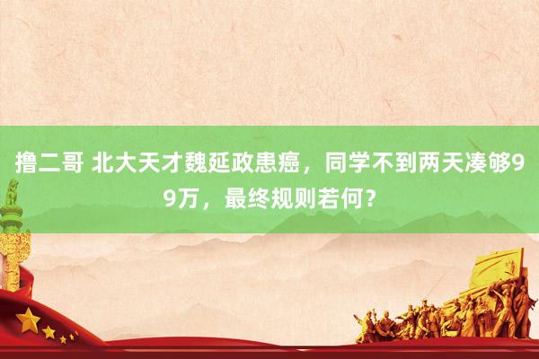 撸二哥 北大天才魏延政患癌，同学不到两天凑够99万，最终规则若何？