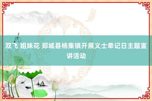 双飞 姐妹花 郯城县杨集镇开展义士牵记日主题宣讲活动