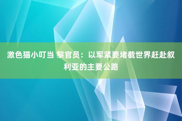 激色猫小叮当 黎官员：以军紧要堵截世界赶赴叙利亚的主要公路