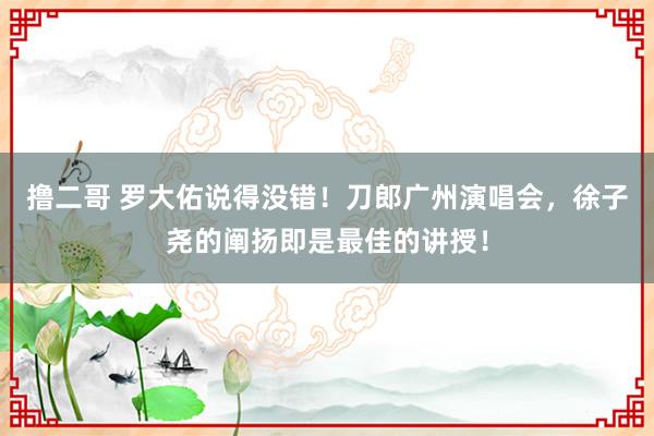 撸二哥 罗大佑说得没错！刀郎广州演唱会，徐子尧的阐扬即是最佳的讲授！