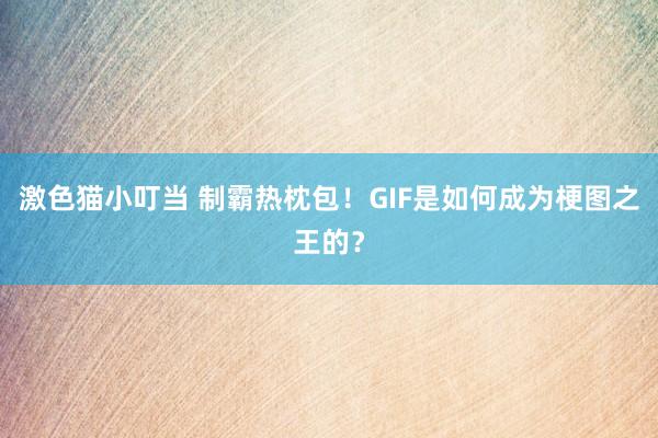 激色猫小叮当 制霸热枕包！GIF是如何成为梗图之王的？