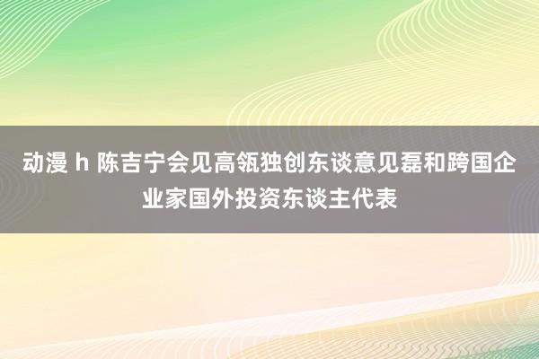 动漫 h 陈吉宁会见高瓴独创东谈意见磊和跨国企业家国外投资东谈主代表