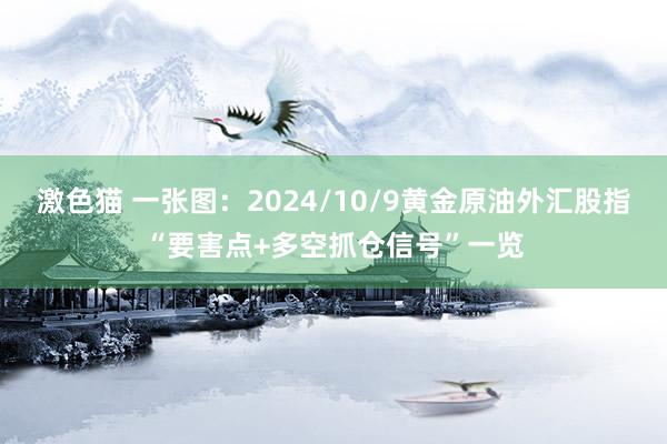 激色猫 一张图：2024/10/9黄金原油外汇股指“要害点+多空抓仓信号”一览