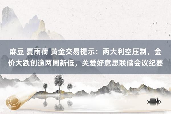 麻豆 夏雨荷 黄金交易提示：两大利空压制，金价大跌创逾两周新低，关爱好意思联储会议纪要