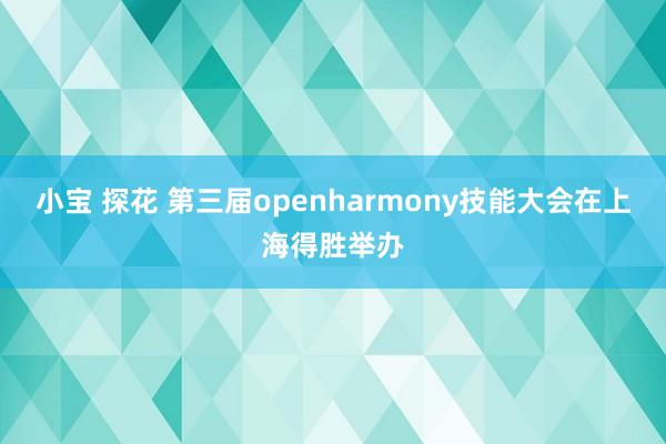 小宝 探花 第三届openharmony技能大会在上海得胜举办