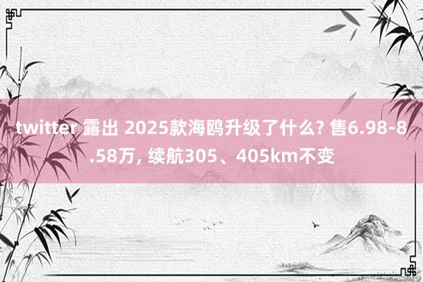 twitter 露出 2025款海鸥升级了什么? 售6.98-8.58万， 续航305、405km不变