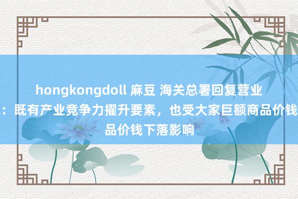 hongkongdoll 麻豆 海关总署回复营业顺差扩大：既有产业竞争力擢升要素，也受大家巨额商品价钱下落影响