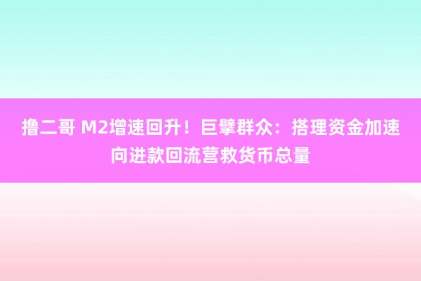 撸二哥 M2增速回升！巨擘群众：搭理资金加速向进款回流营救货币总量