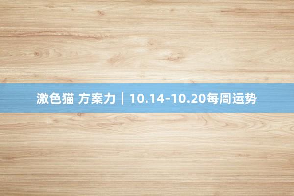 激色猫 方案力｜10.14-10.20每周运势