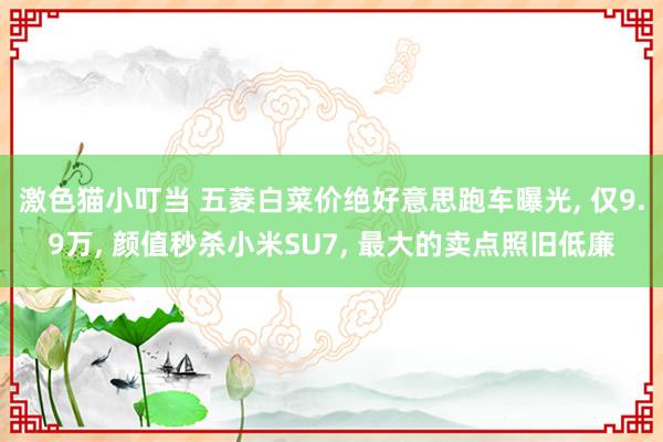 激色猫小叮当 五菱白菜价绝好意思跑车曝光， 仅9.9万， 颜值秒杀小米SU7， 最大的卖点照旧低廉