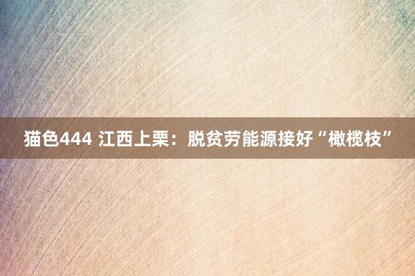 猫色444 江西上栗：脱贫劳能源接好“橄榄枝”