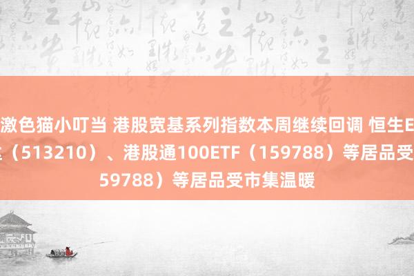 激色猫小叮当 港股宽基系列指数本周继续回调 恒生ETF易方达（513210）、港股通100ETF（159788）等居品受市集温暖