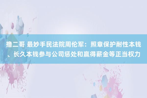 撸二哥 最妙手民法院周伦军：照章保护耐性本钱、长久本钱参与公司惩处和赢得薪金等正当权力