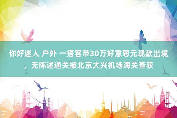 你好迷人 户外 一搭客带30万好意思元现款出境，无陈述通关被北京大兴机场海关查获