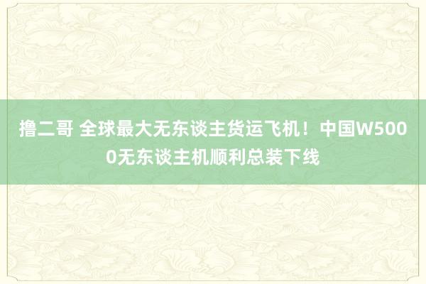 撸二哥 全球最大无东谈主货运飞机！中国W5000无东谈主机顺利总装下线