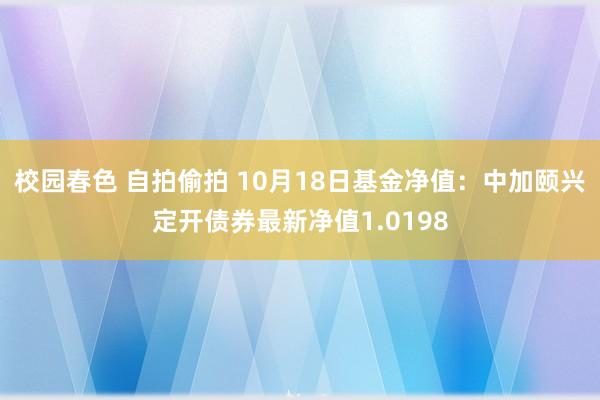 校园春色 自拍偷拍 10月18日基金净值：中加颐兴定开债券最新净值1.0198