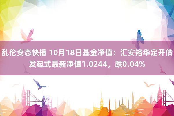 乱伦变态快播 10月18日基金净值：汇安裕华定开债发起式最新净值1.0244，跌0.04%