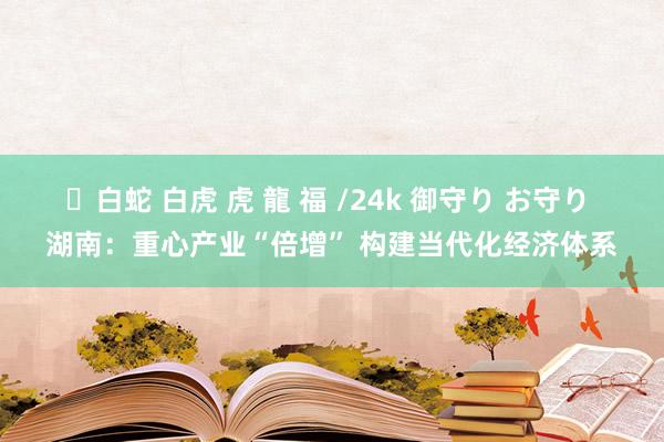 ✨白蛇 白虎 虎 龍 福 /24k 御守り お守り 湖南：重心产业“倍增” 构建当代化经济体系