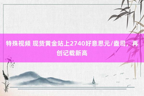 特殊视频 现货黄金站上2740好意思元/盎司，再创记载新高